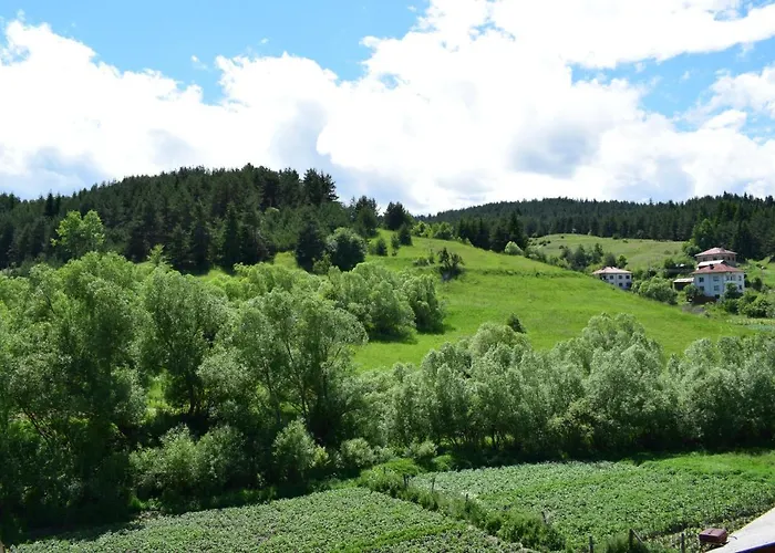 мечта Gasthuis 3*